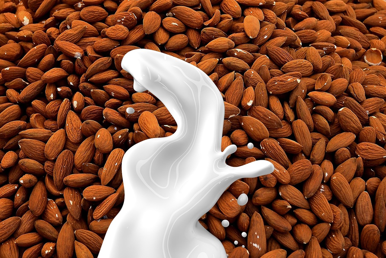 entdecken sie köstliche vegetarische alternativen für jede mahlzeit. von herzhaften gerichten bis hin zu innovativen rezepten – genießen sie gesunden, fleischlosen genuss und abwechslungsreiche ernährungstipps.