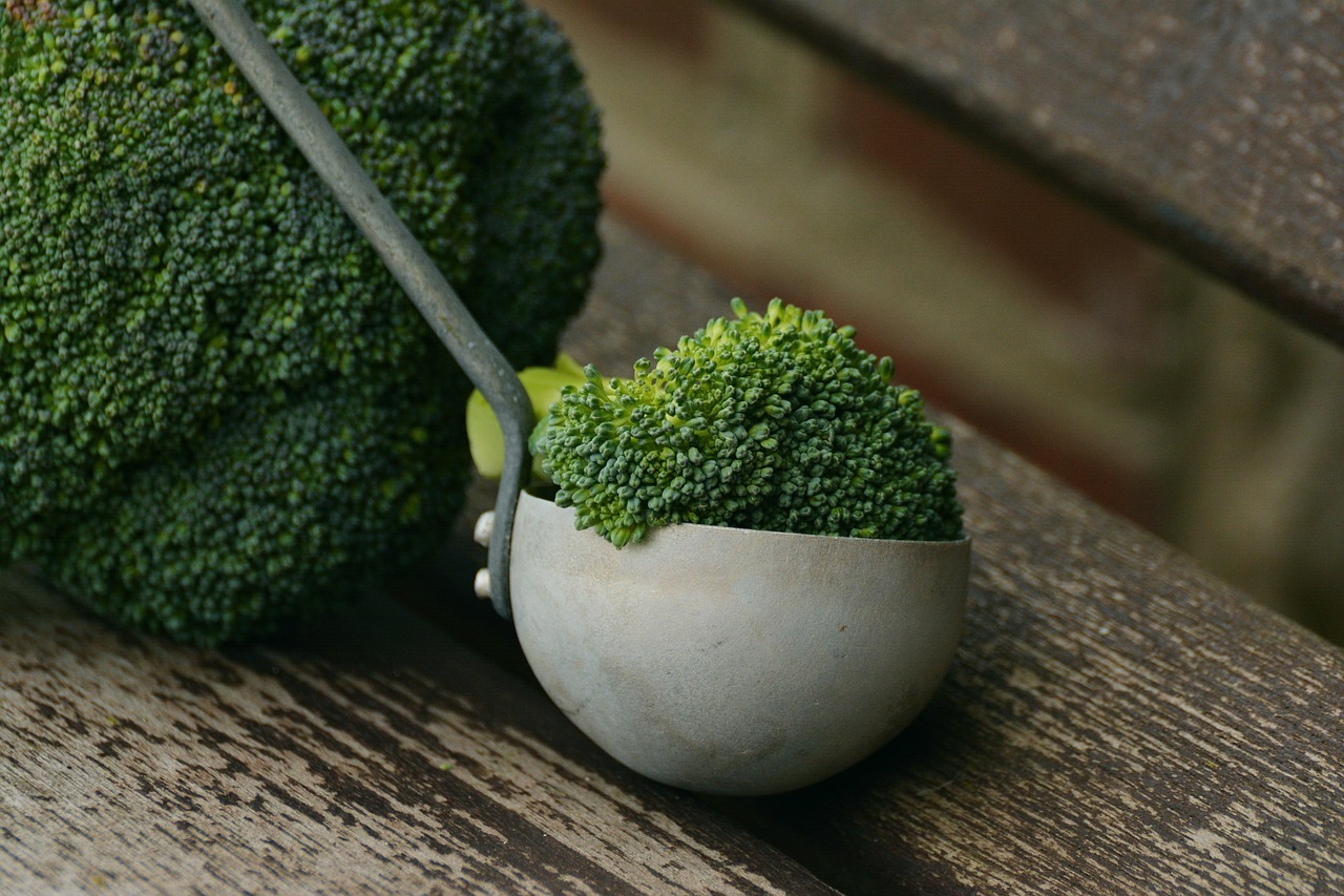 entdecken sie köstliche vegetarische alternativen für jede mahlzeit. gesunde rezepte, nahrhafte zutaten und kreative ideen für vegetarischen genuss im alltag.
