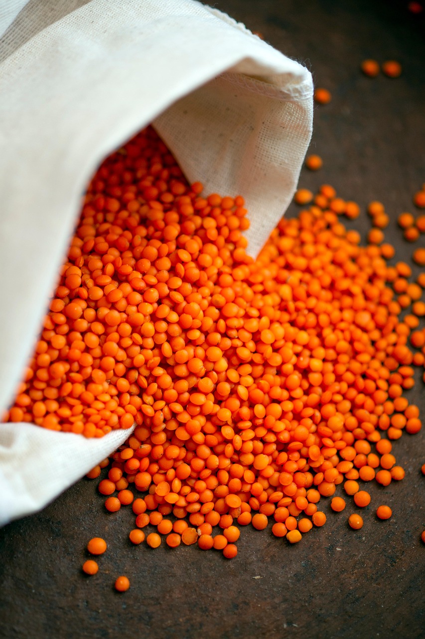 entdecken sie köstliche vegetarische alternativen für ihre lieblingsgerichte. erfahren sie mehr über gesunde, einfache und abwechslungsreiche fleischlose rezepte und tipps für den vegetarischen genuss.