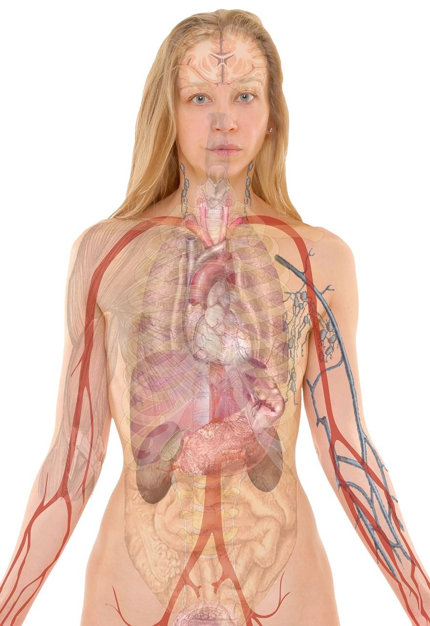 entdecken sie umfassende informationen über lungenkrebs, einschließlich ursachen, symptome und behandlungsoptionen. erfahren sie, wie sie das risiko reduzieren und frühzeitig erkennen können, um ihre gesundheit zu schützen.