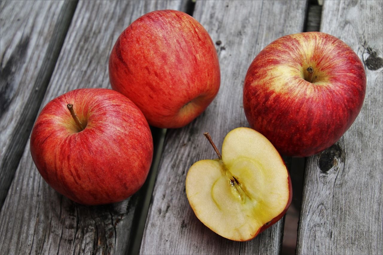 entdecken sie alles rund um gesunde ernährung: tipps, rezepte und wissenschaftlich fundiertes wissen für eine ausgewogene lebensweise. erfahren sie, wie sie durch gesunde ernährung ihr wohlbefinden steigern können.