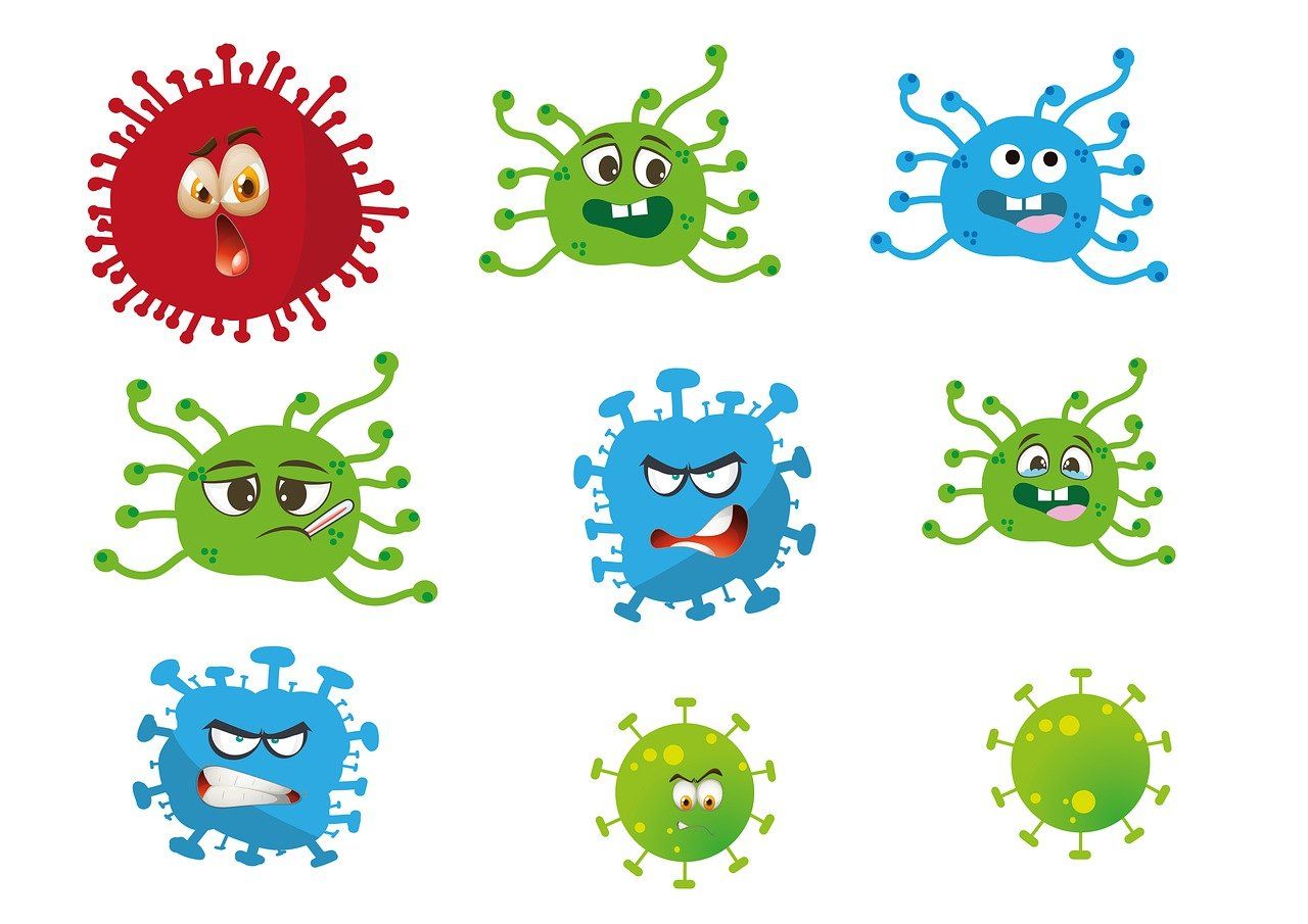 erfahren sie, wie das immunsystem funktioniert, welche rolle es im körper spielt und wie sie es stärken können, um ihre gesundheit optimal zu unterstützen.